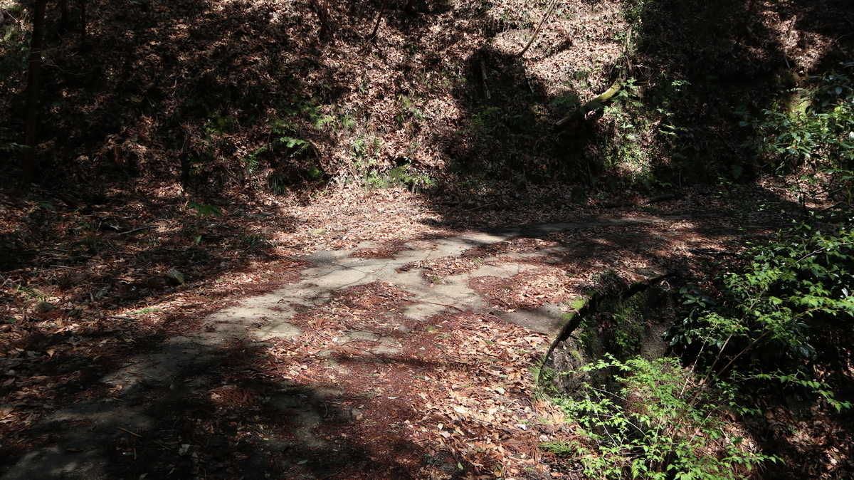 f:id:noramatsu:20201122010418j:plain