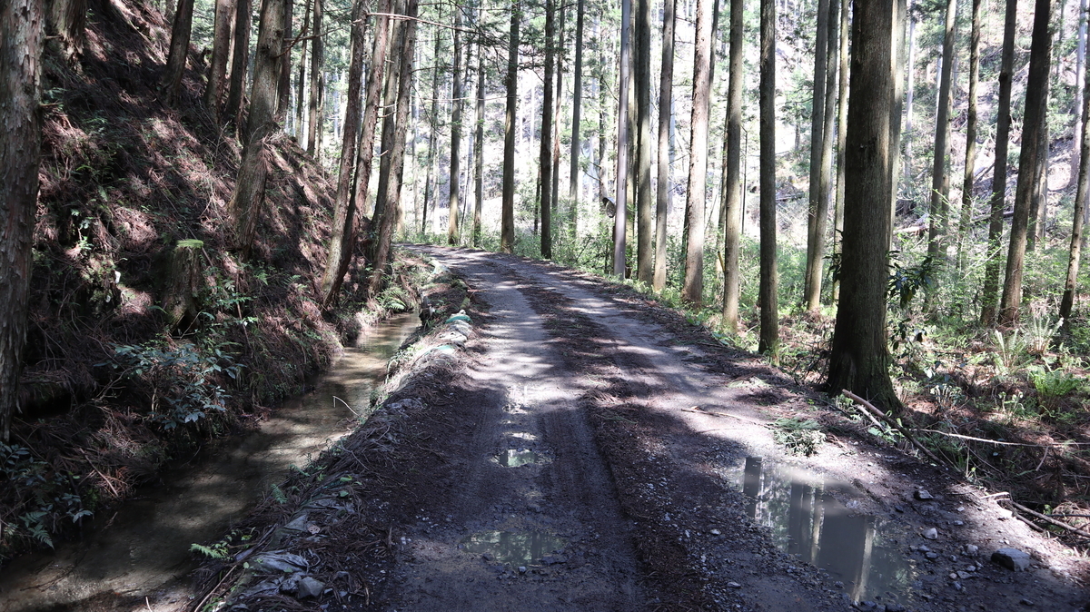 f:id:noramatsu:20201123210124j:plain