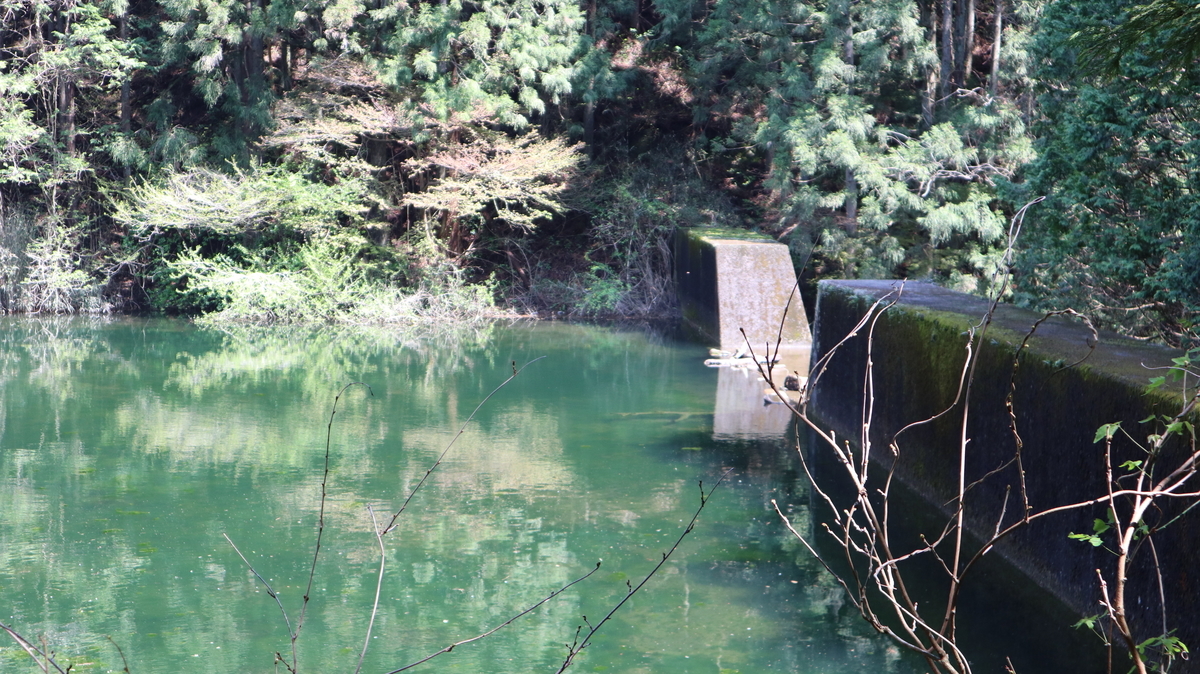 f:id:noramatsu:20201123210243j:plain