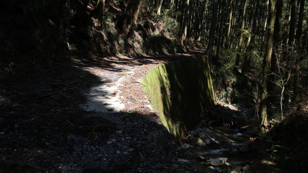 f:id:noramatsu:20201123210749j:plain