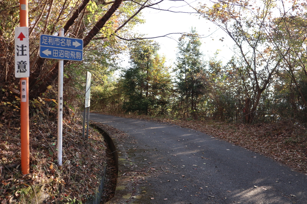 f:id:noramatsu:20201206211517j:plain