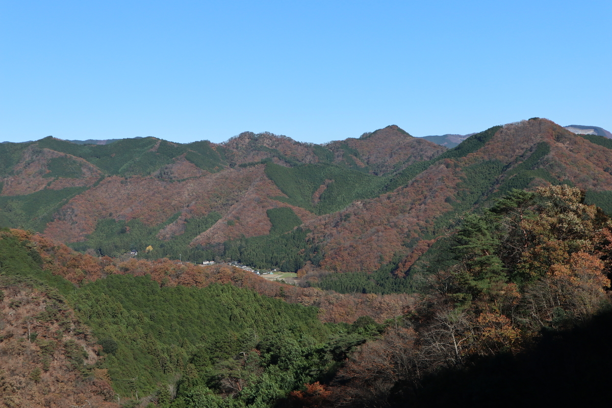 f:id:noramatsu:20201206224141j:plain