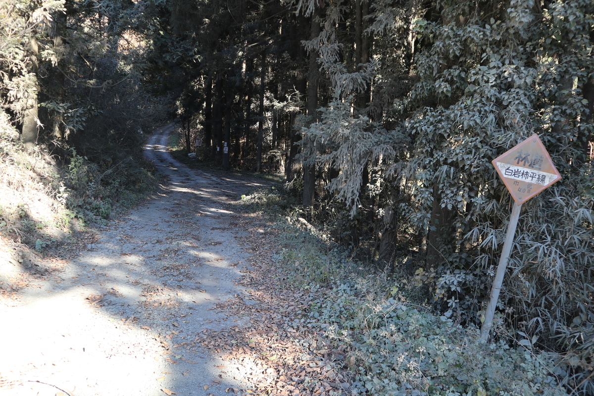 f:id:noramatsu:20201206225559j:plain