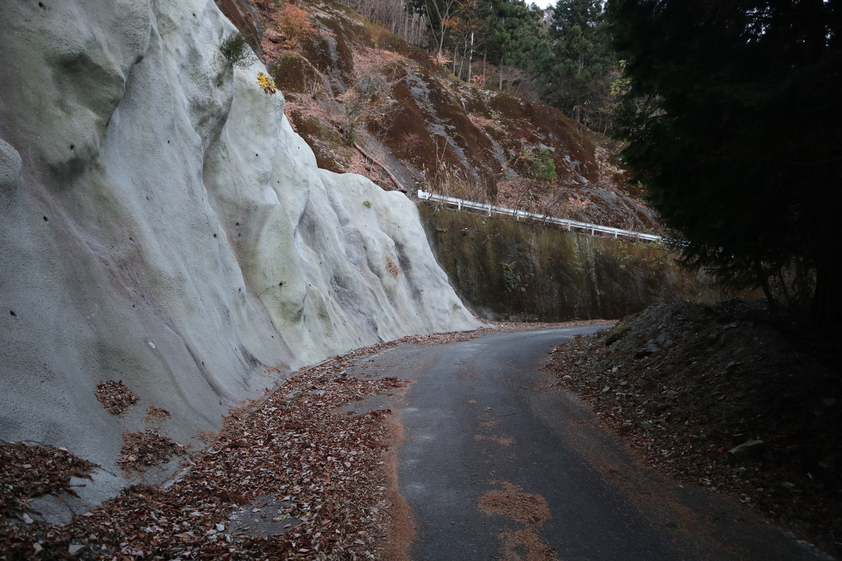 f:id:noramatsu:20210124195543j:plain