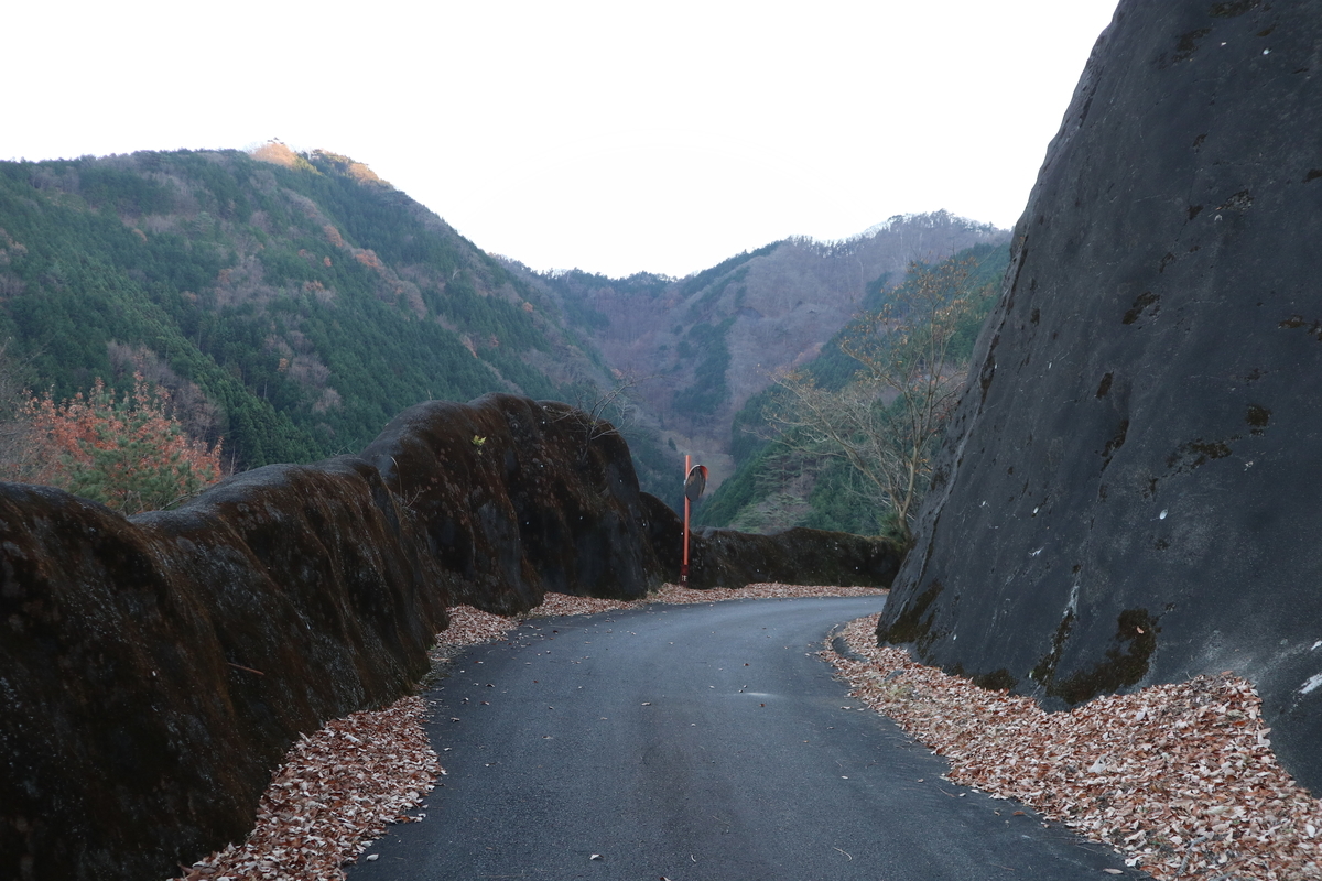 f:id:noramatsu:20210124195802j:plain