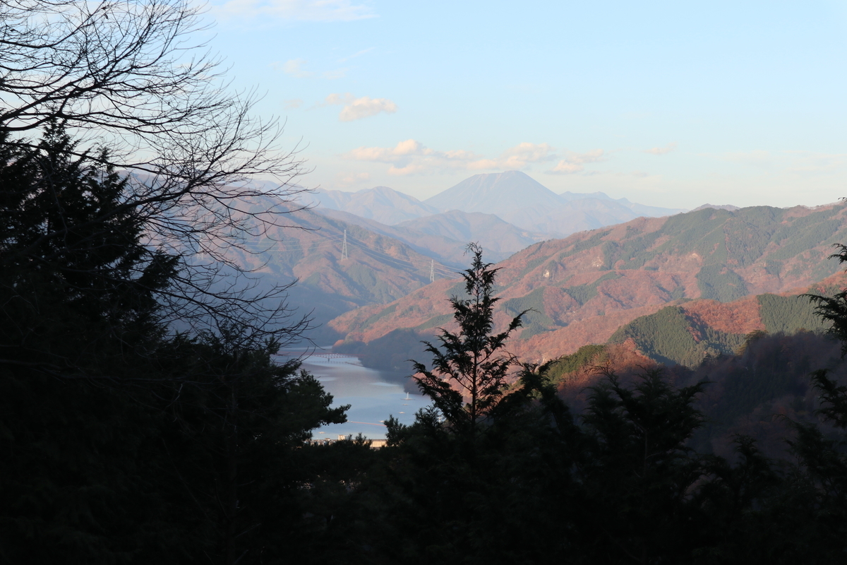 f:id:noramatsu:20210124200210j:plain