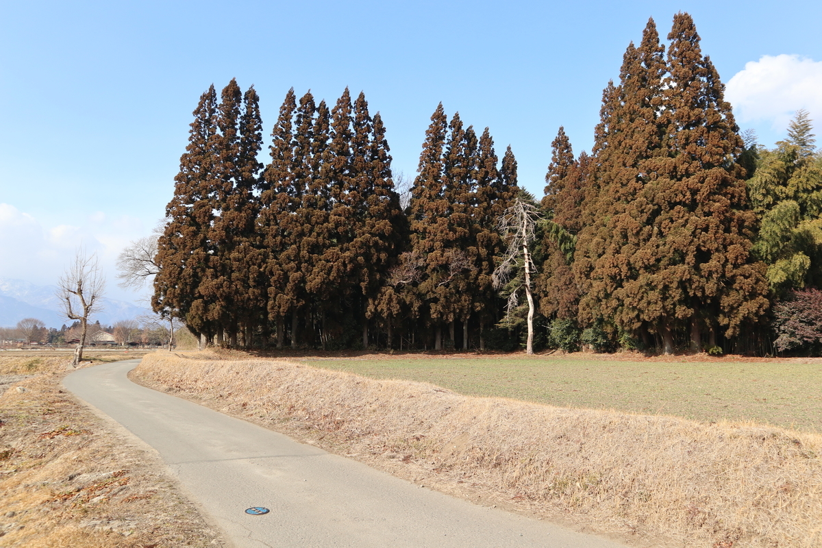 f:id:noramatsu:20210207220553j:plain