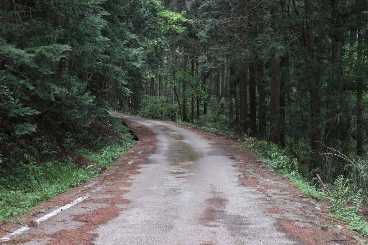 f:id:noramatsu:20210524234147j:plain