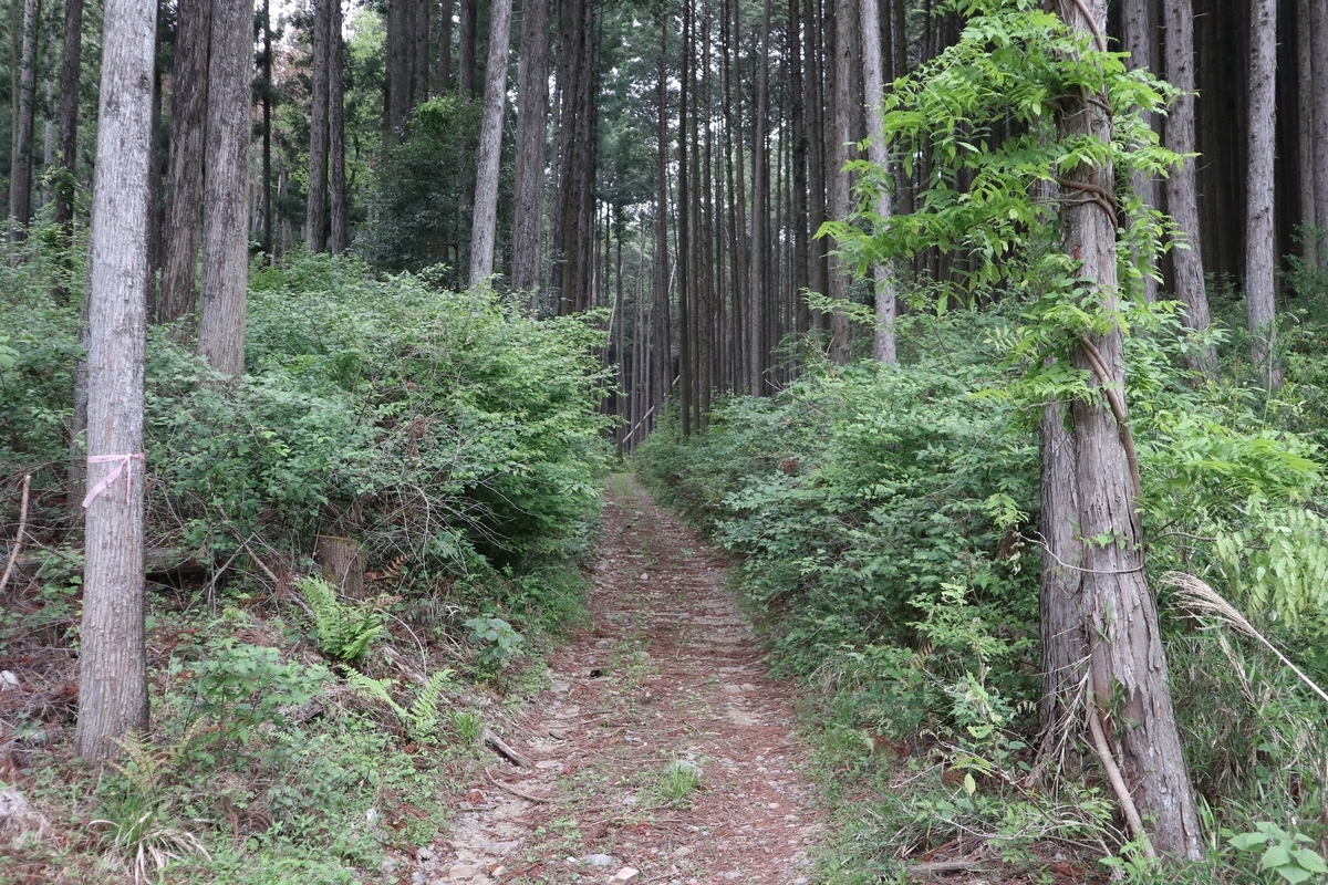 f:id:noramatsu:20210526225302j:plain