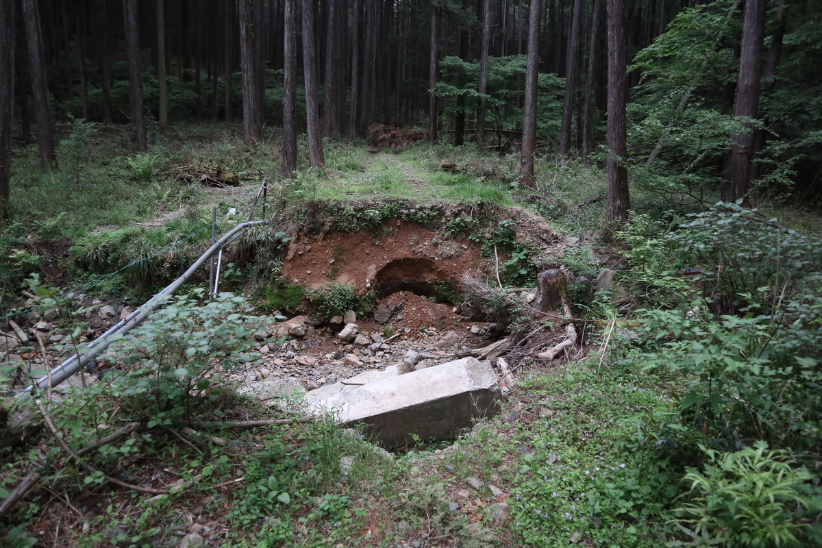 f:id:noramatsu:20210526225418j:plain