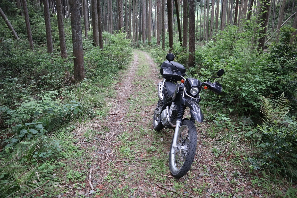 f:id:noramatsu:20210526225838j:plain