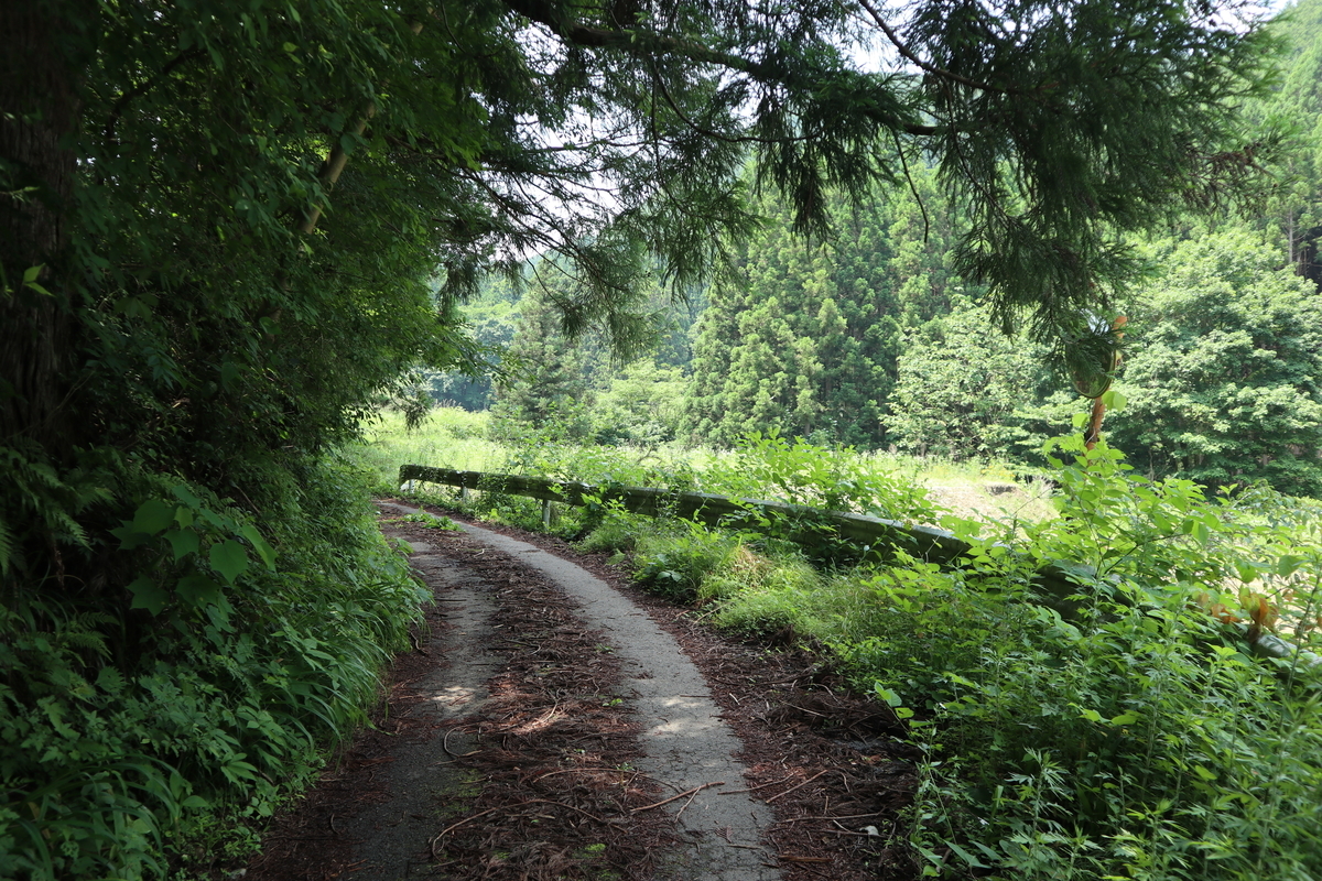 f:id:noramatsu:20210704151020j:plain