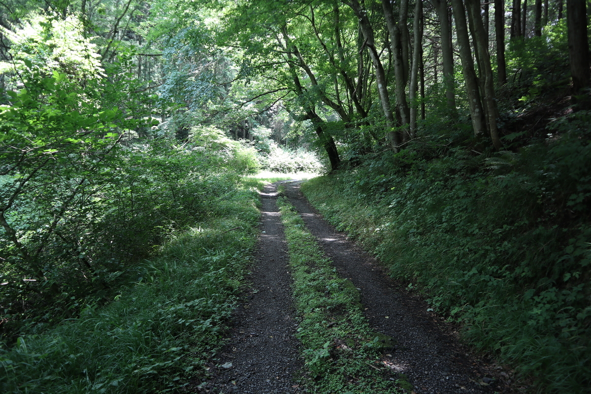 f:id:noramatsu:20210704151712j:plain