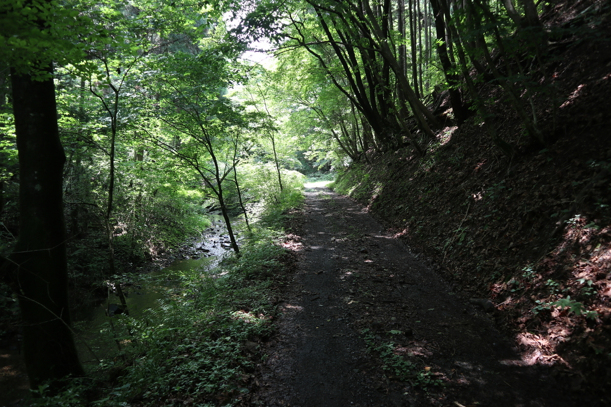 f:id:noramatsu:20210704151816j:plain