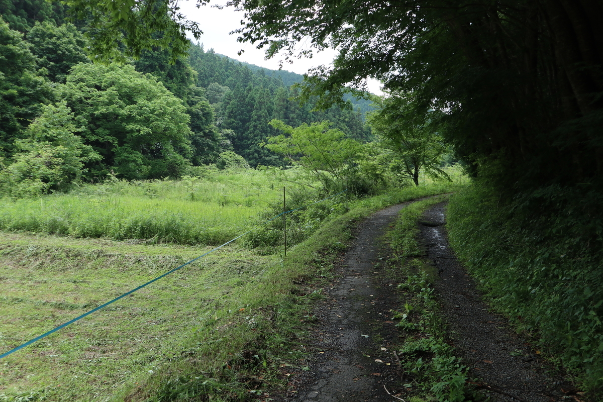 f:id:noramatsu:20210704151935j:plain