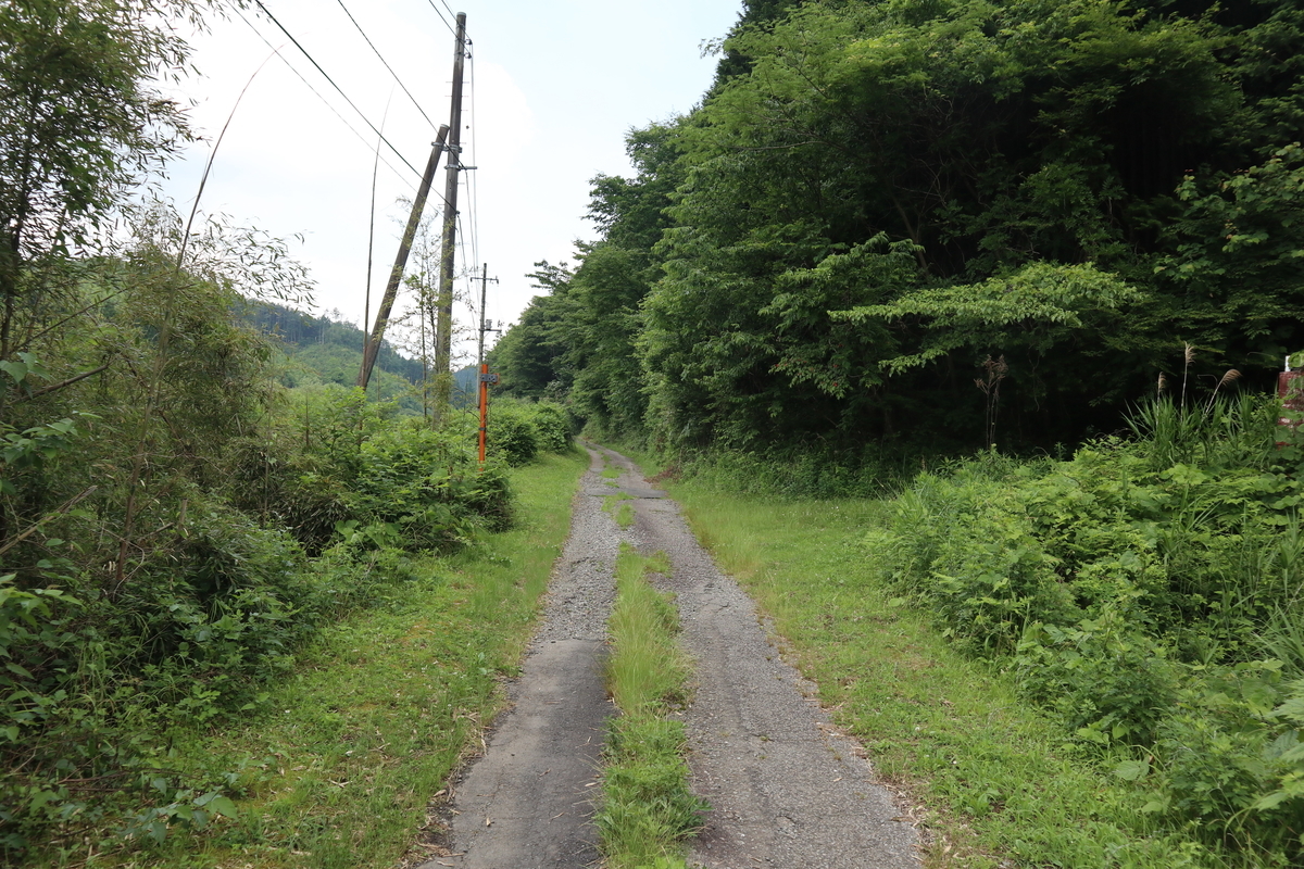 f:id:noramatsu:20210704152048j:plain