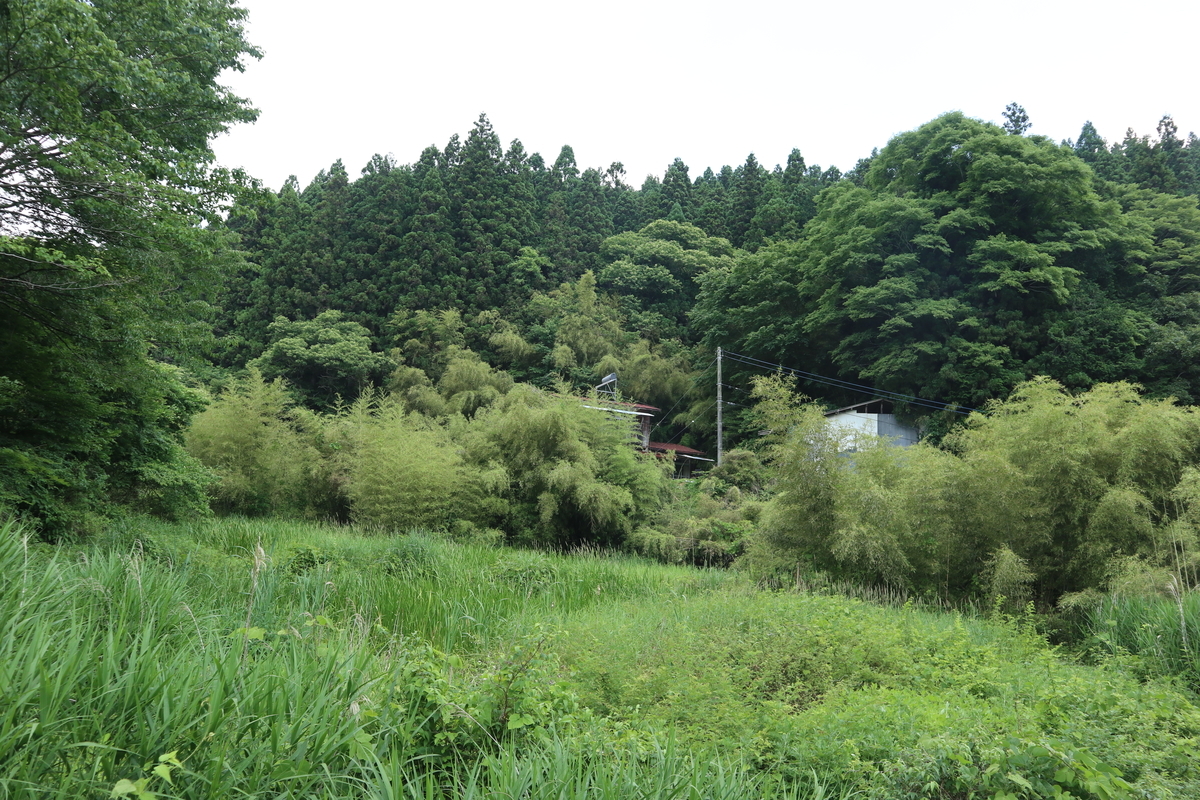 f:id:noramatsu:20210704152156j:plain