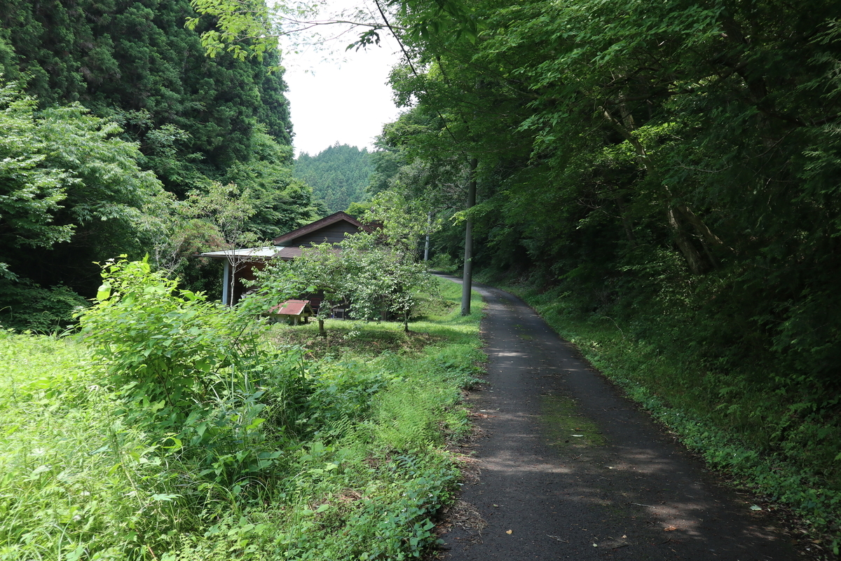 f:id:noramatsu:20210704152553j:plain