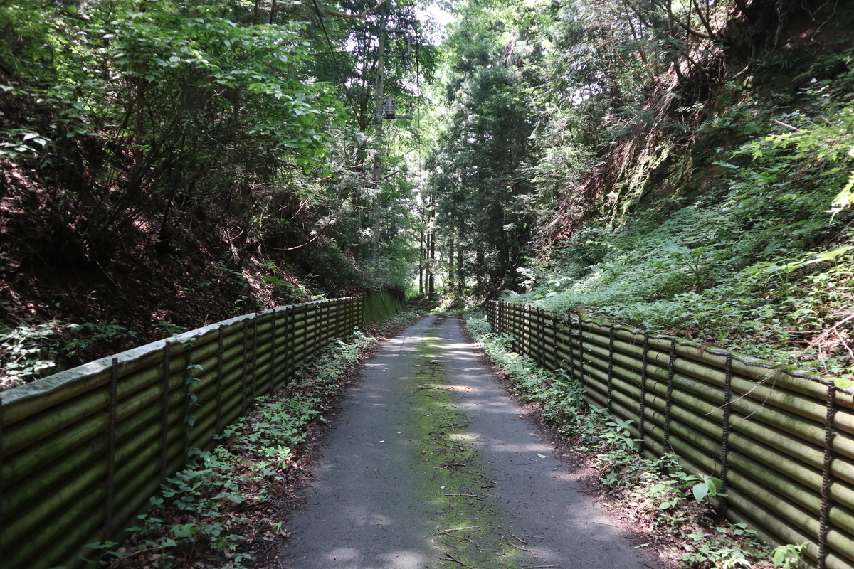 f:id:noramatsu:20210704152733j:plain