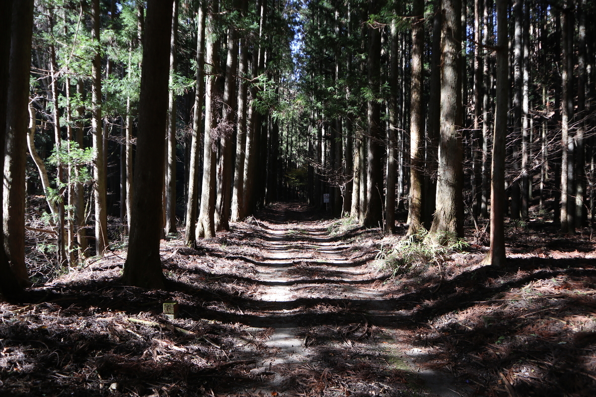 f:id:noramatsu:20210704154027j:plain