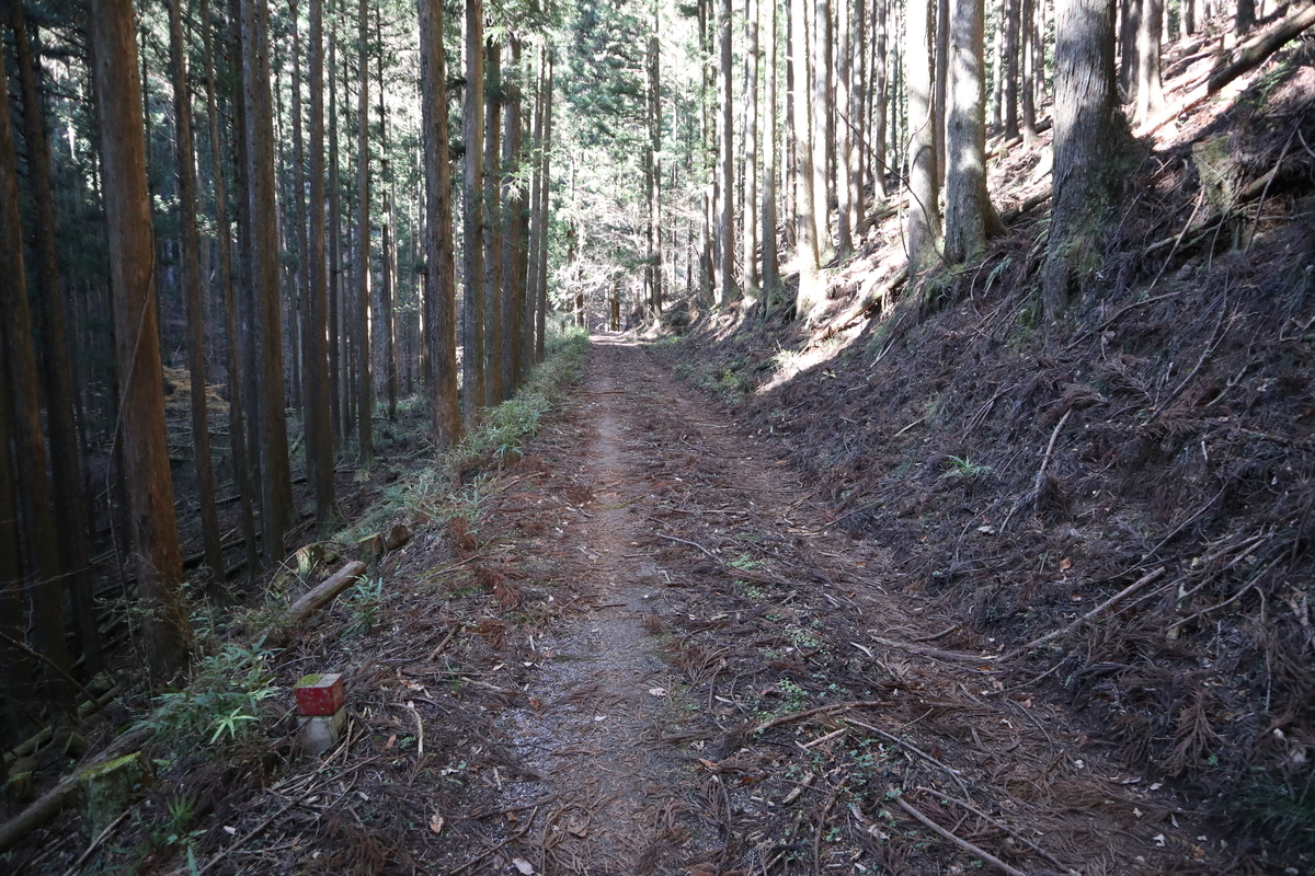 f:id:noramatsu:20210704154235j:plain