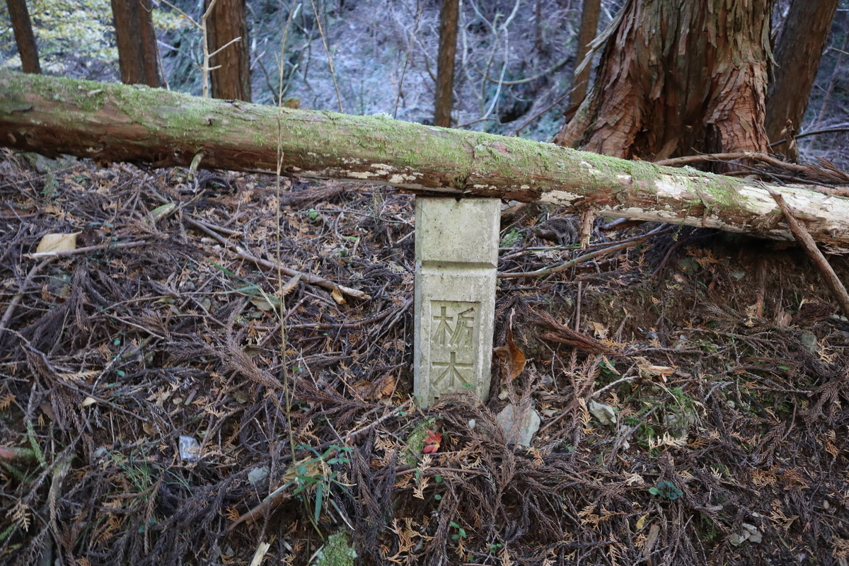 f:id:noramatsu:20210704154903j:plain