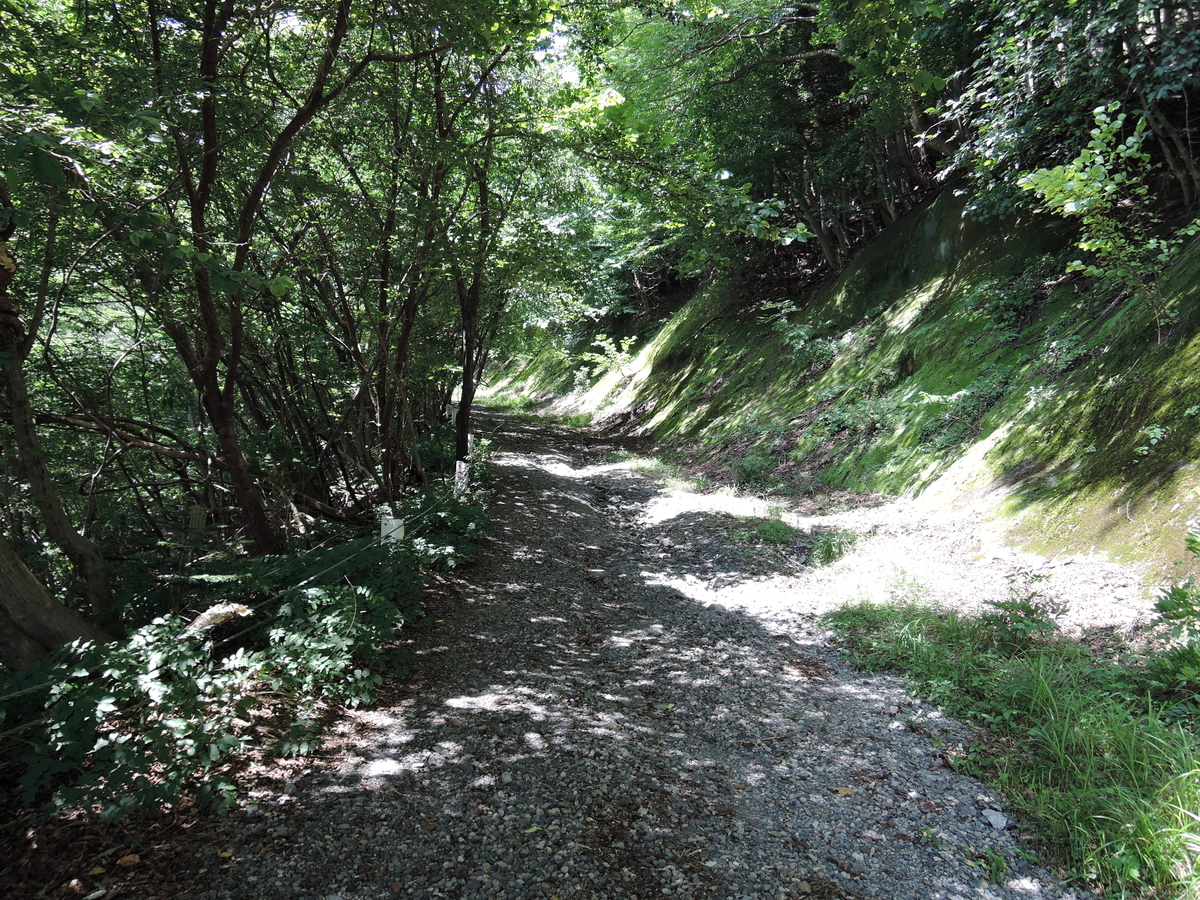 f:id:noramatsu:20210809211345j:plain