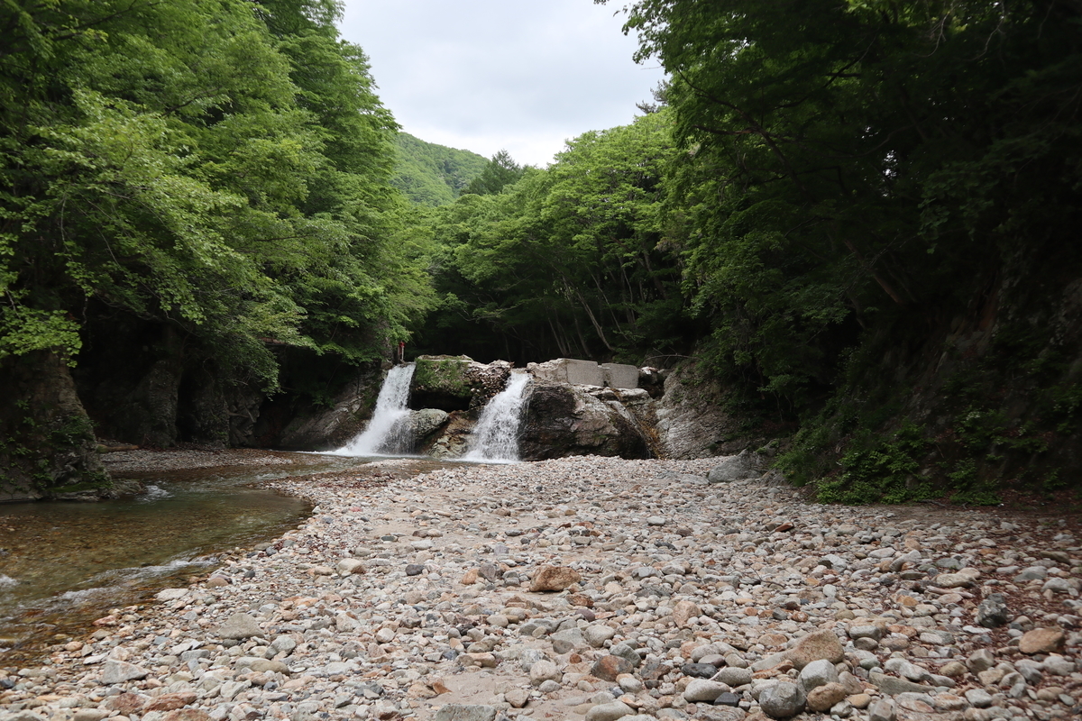 f:id:noramatsu:20210822115509j:plain