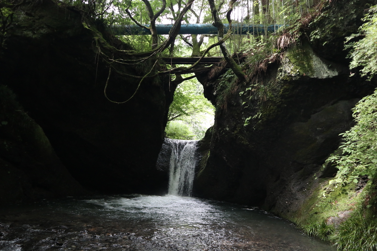 f:id:noramatsu:20210822120524j:plain