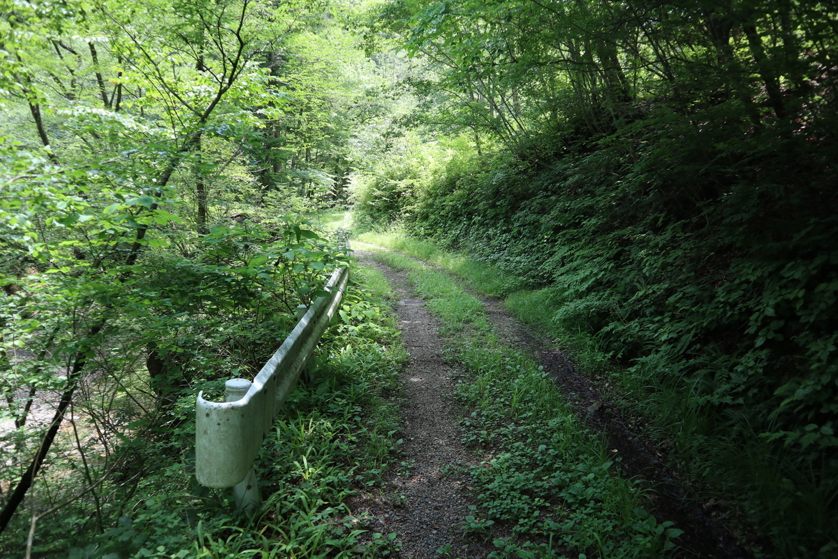 f:id:noramatsu:20210822123635j:plain