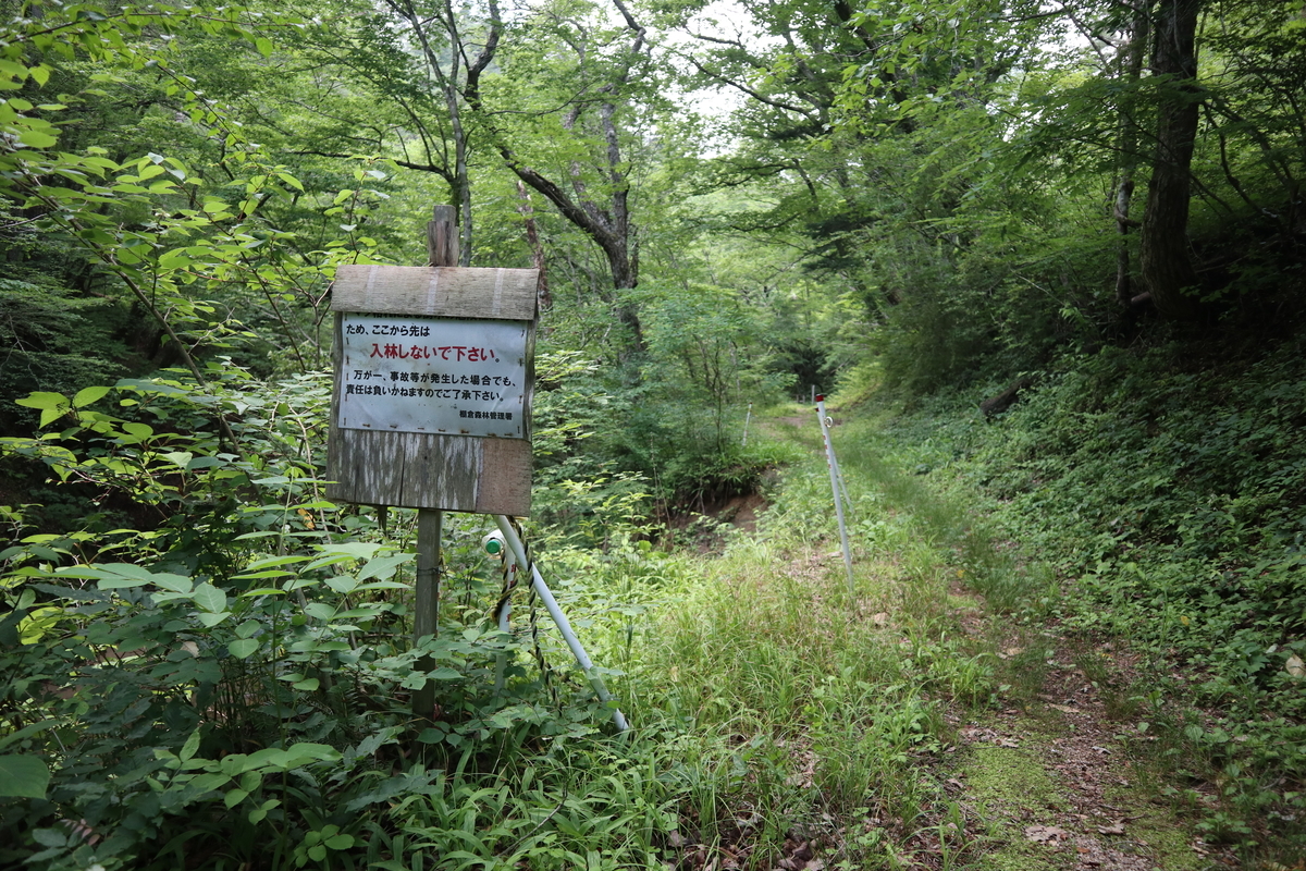 f:id:noramatsu:20210822123821j:plain