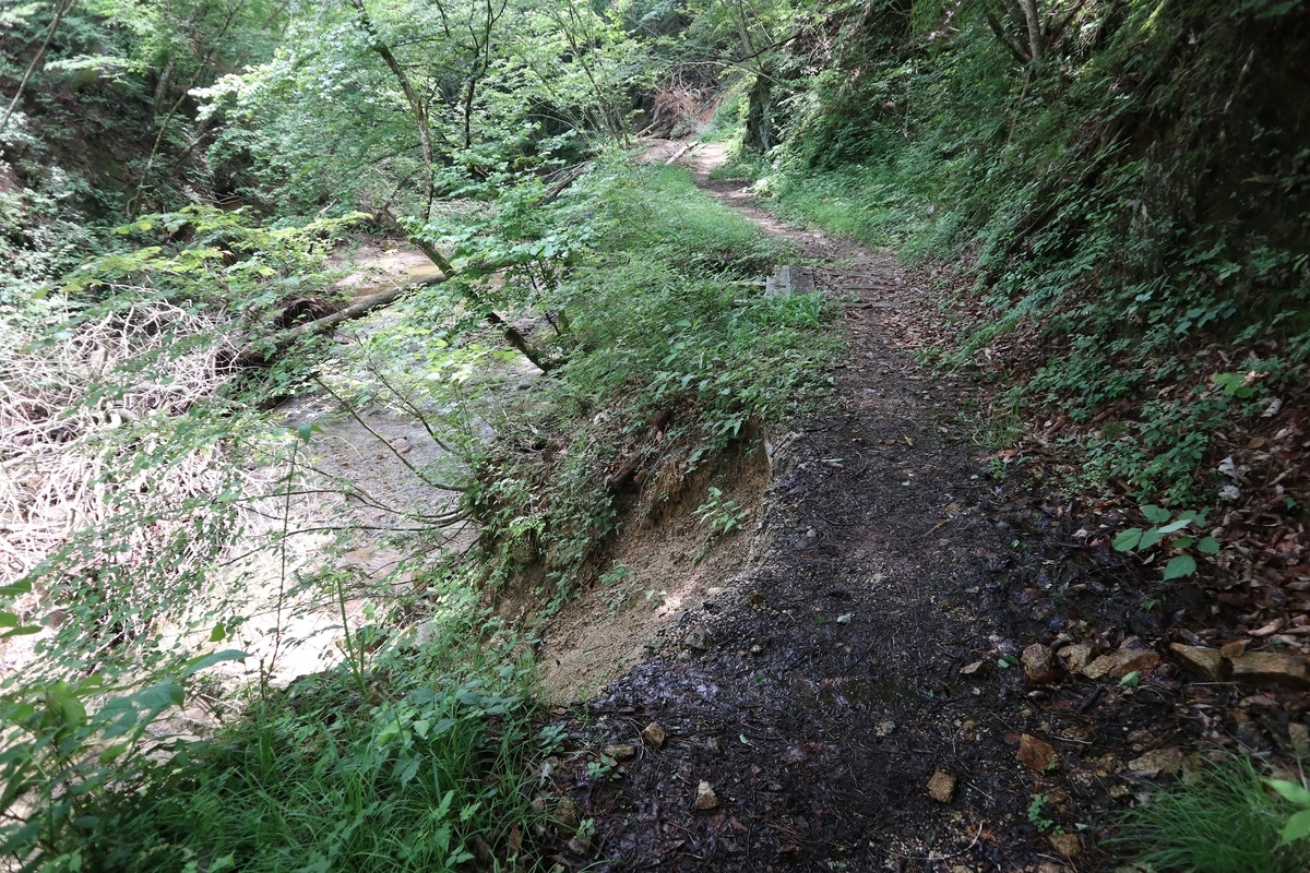 f:id:noramatsu:20210822145304j:plain