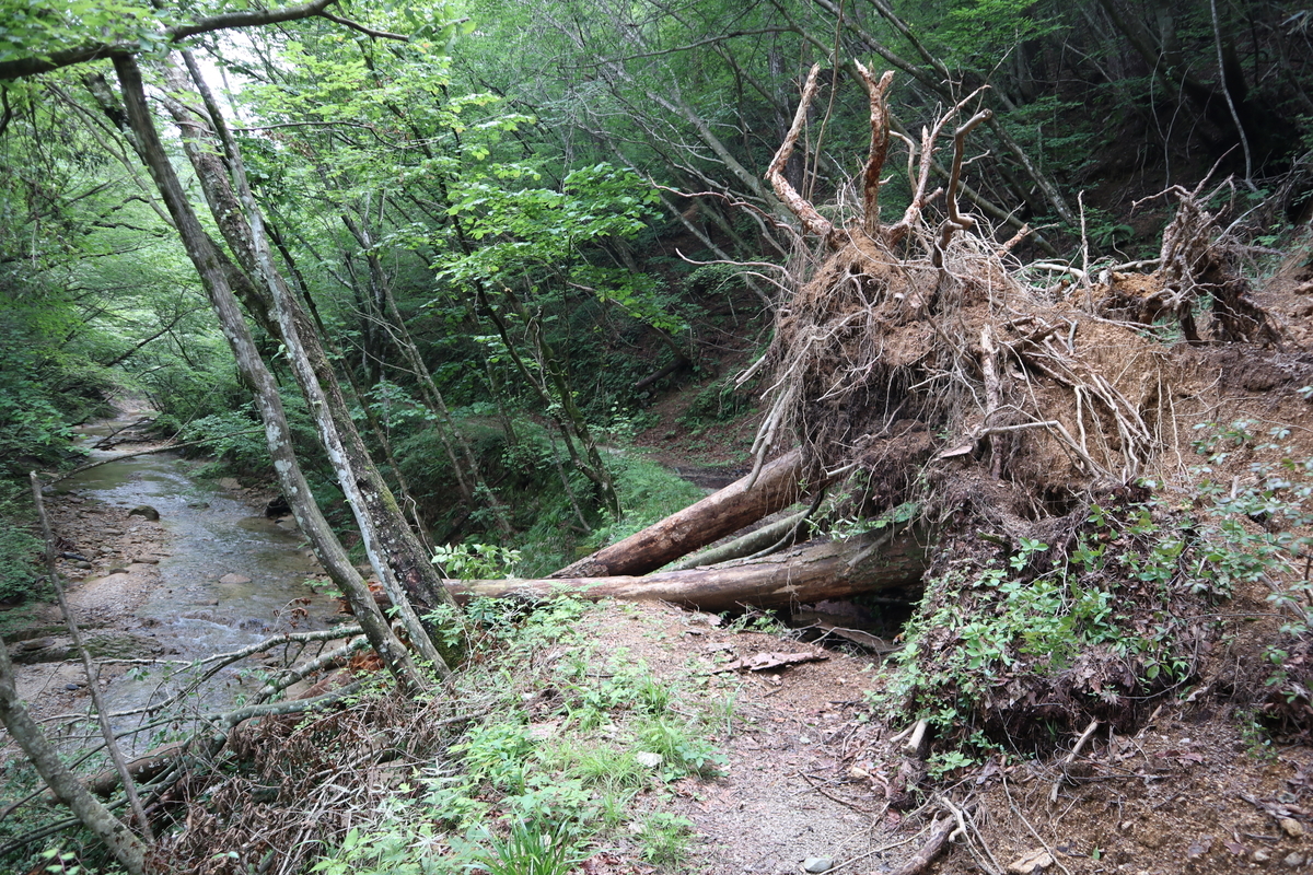 f:id:noramatsu:20210822145518j:plain