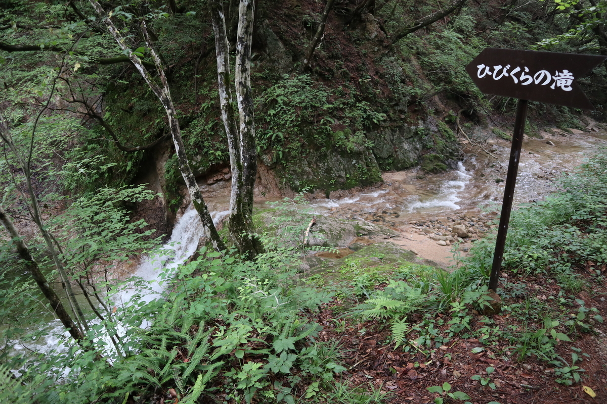 f:id:noramatsu:20210822145818j:plain