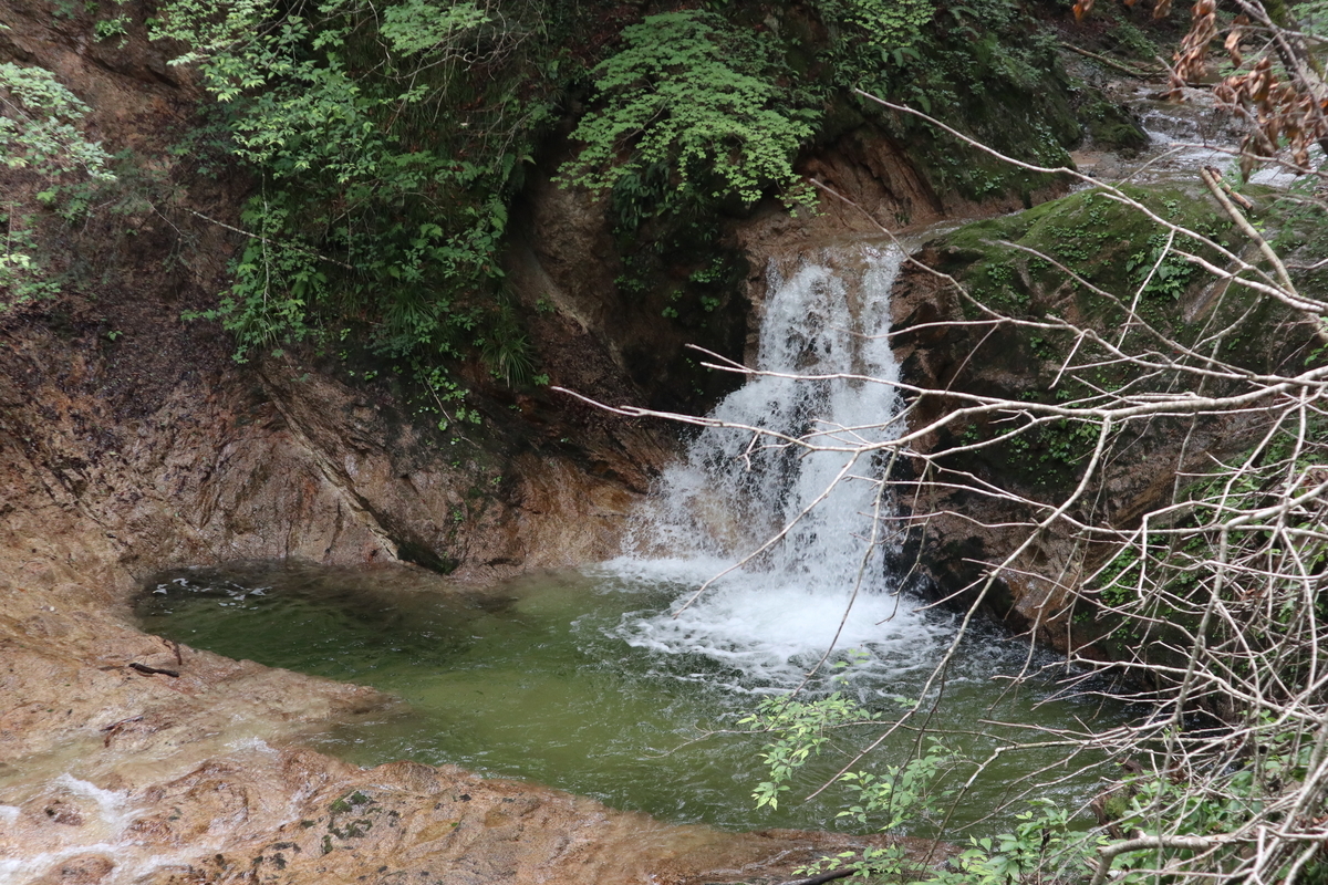 f:id:noramatsu:20210822150650j:plain