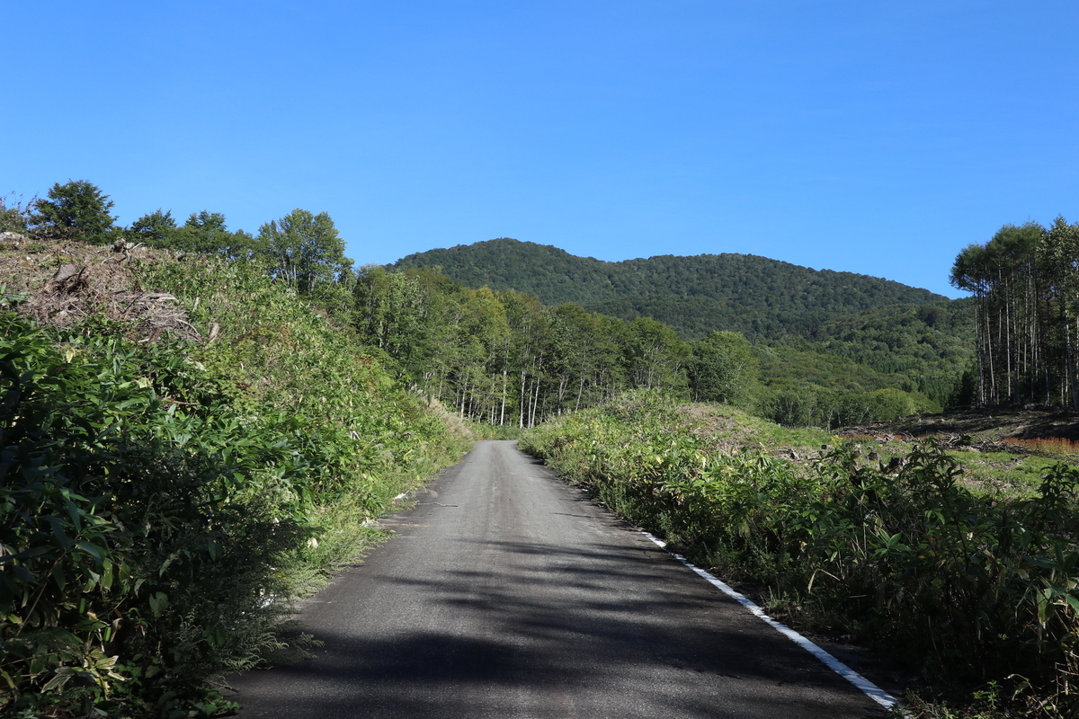 f:id:noramatsu:20211007231755j:plain