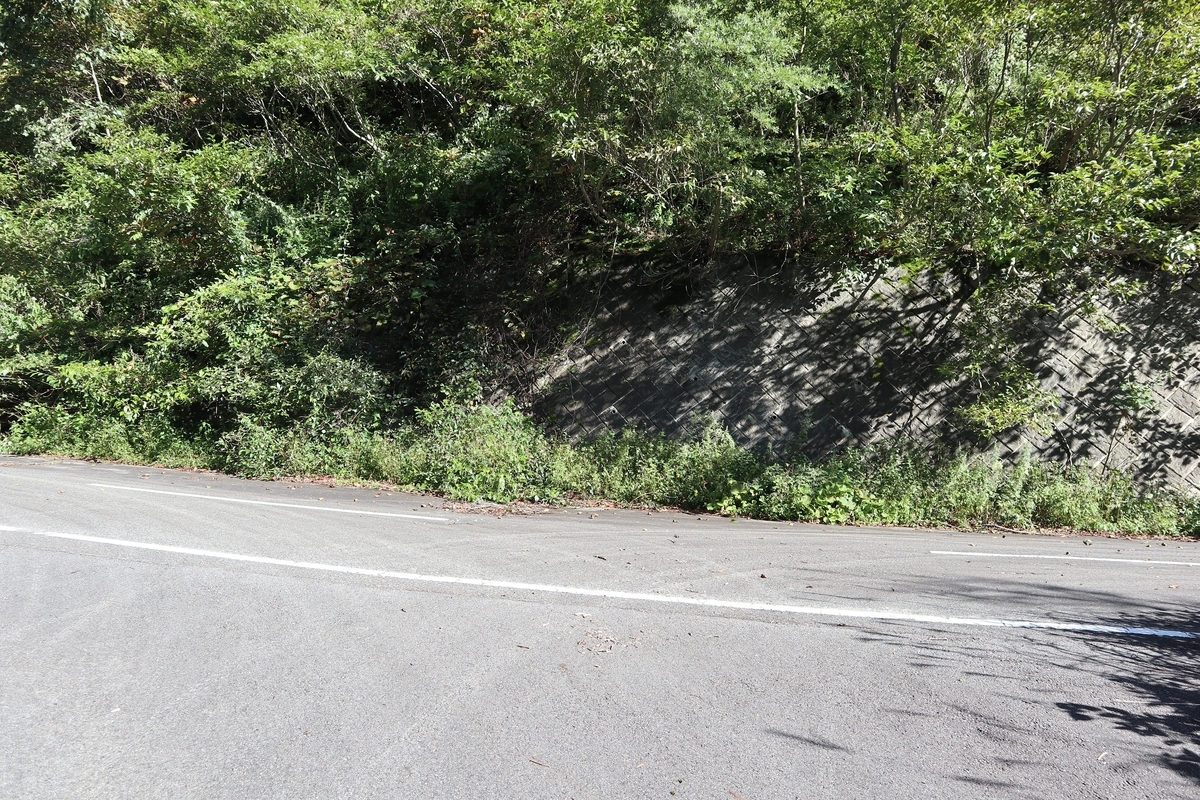 f:id:noramatsu:20211007232416j:plain