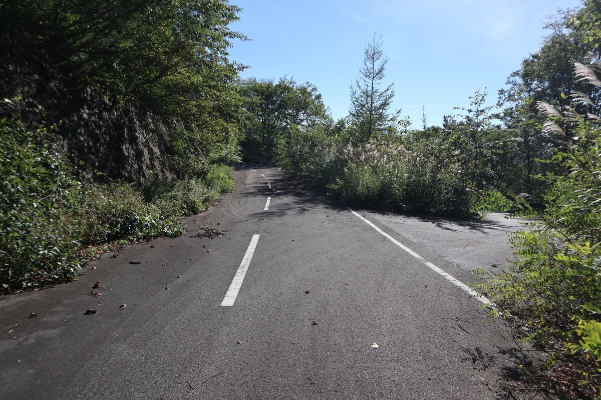 f:id:noramatsu:20211007232825j:plain