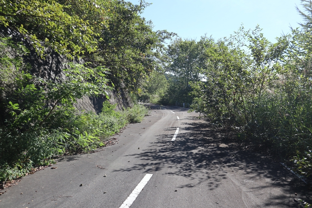 f:id:noramatsu:20211007233319j:plain