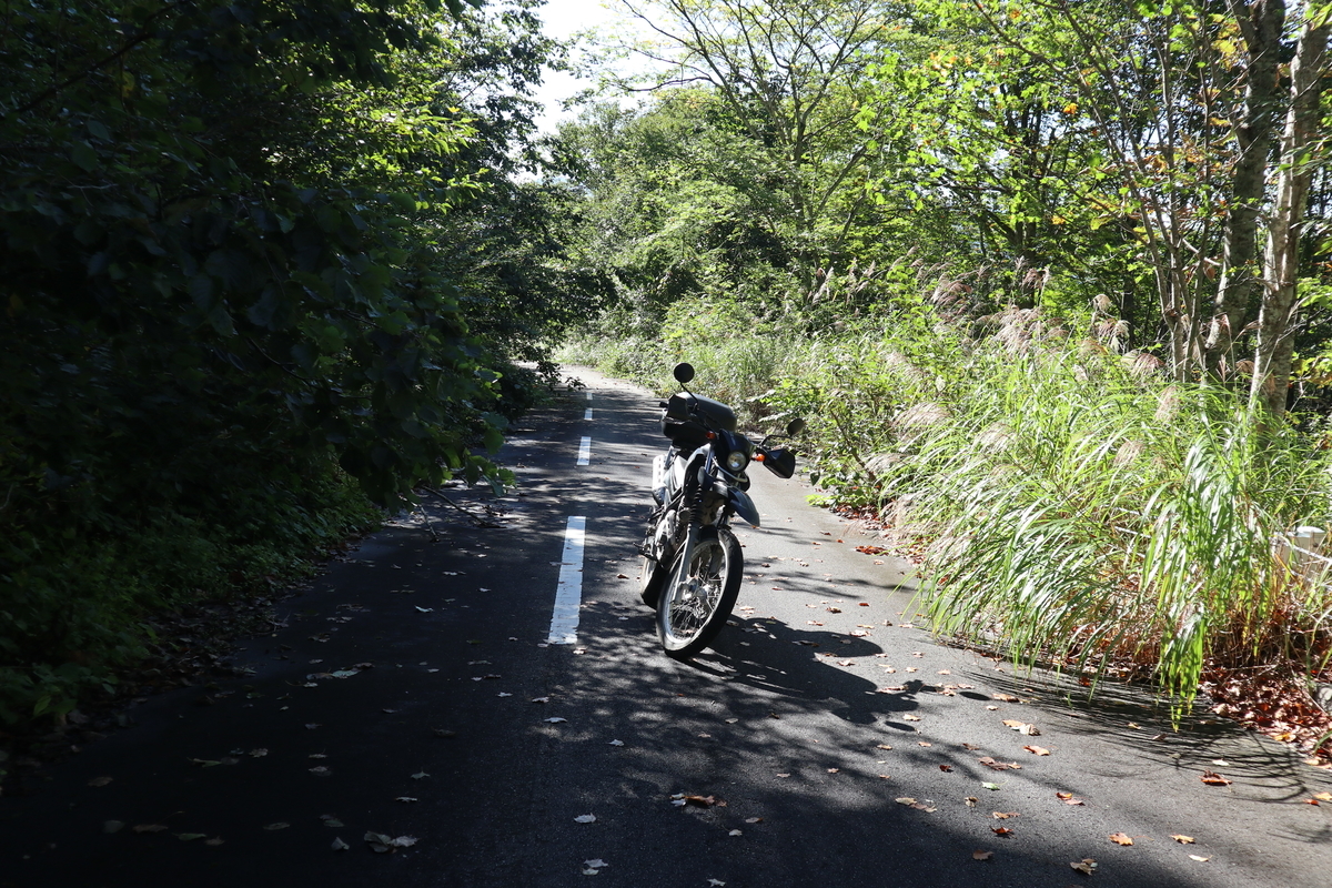 f:id:noramatsu:20211007235106j:plain