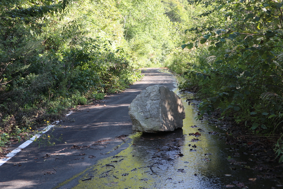 f:id:noramatsu:20211007235930j:plain