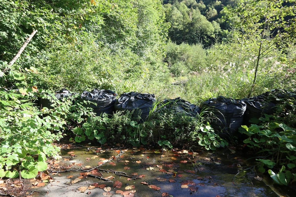 f:id:noramatsu:20211008000207j:plain