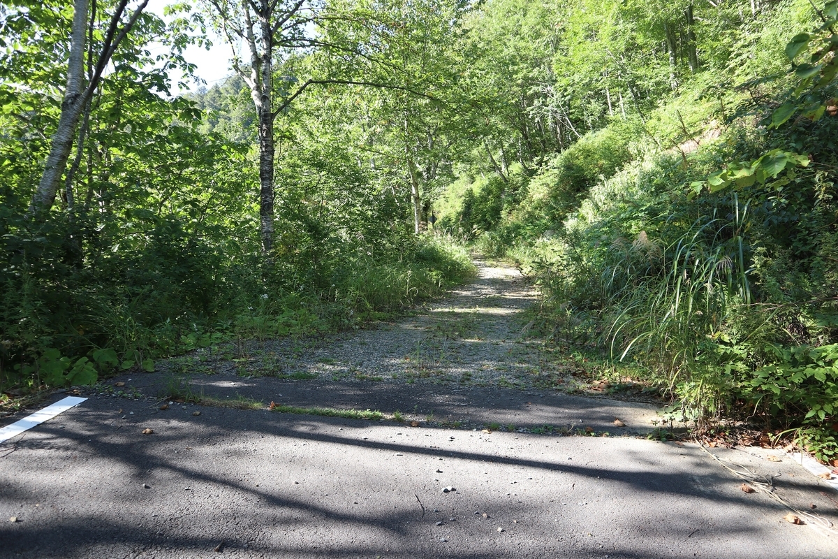 f:id:noramatsu:20211008001021j:plain