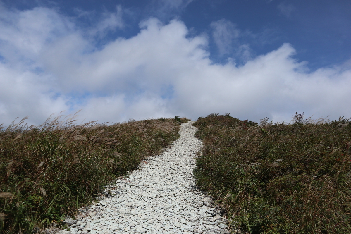 f:id:noramatsu:20211121232549j:plain