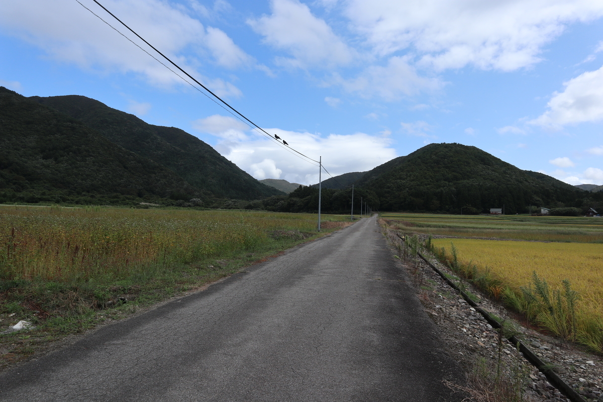 f:id:noramatsu:20211121235619j:plain