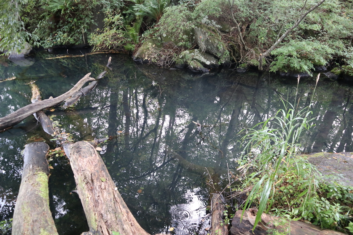 f:id:noramatsu:20211121235941j:plain