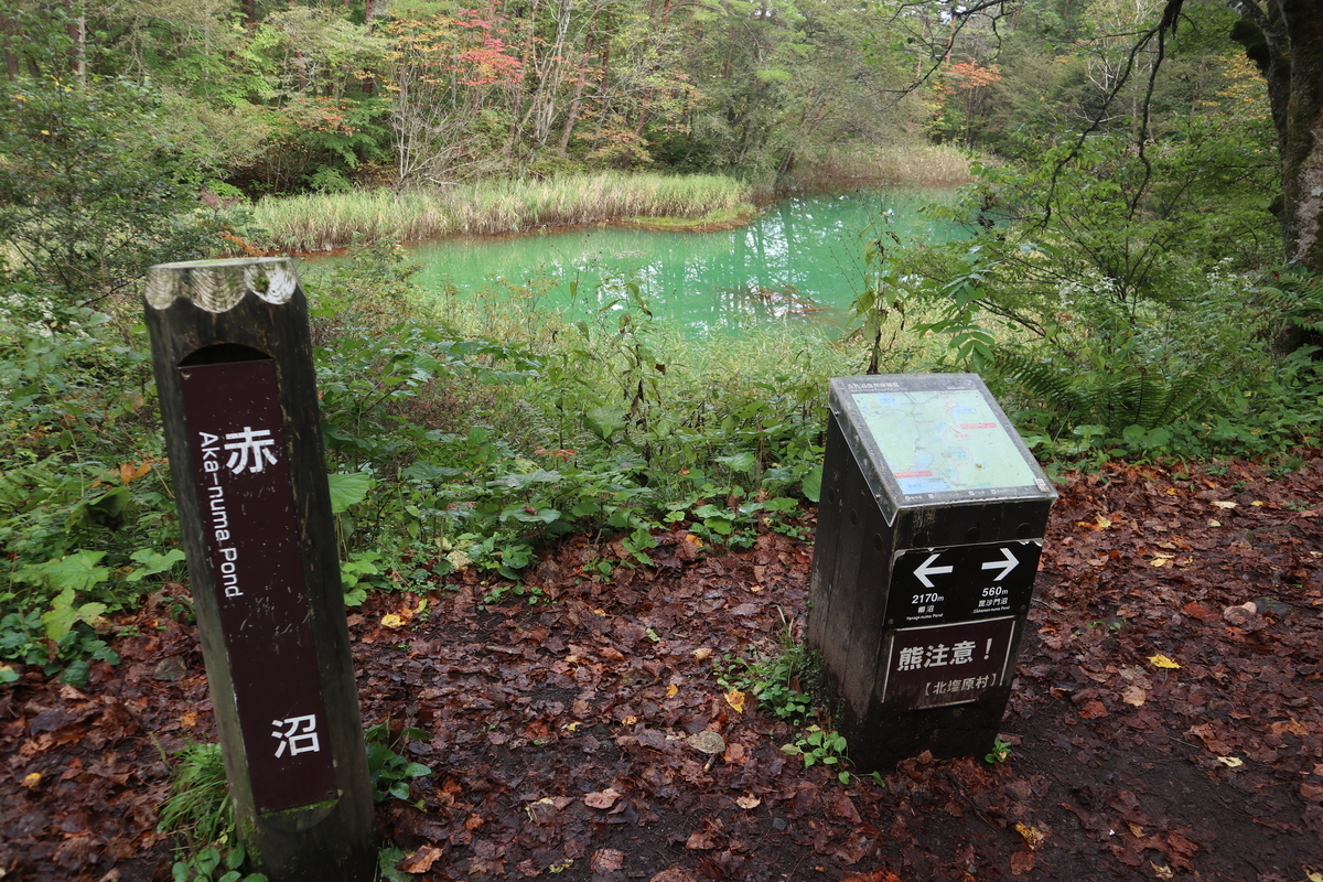 f:id:noramatsu:20211122000342j:plain