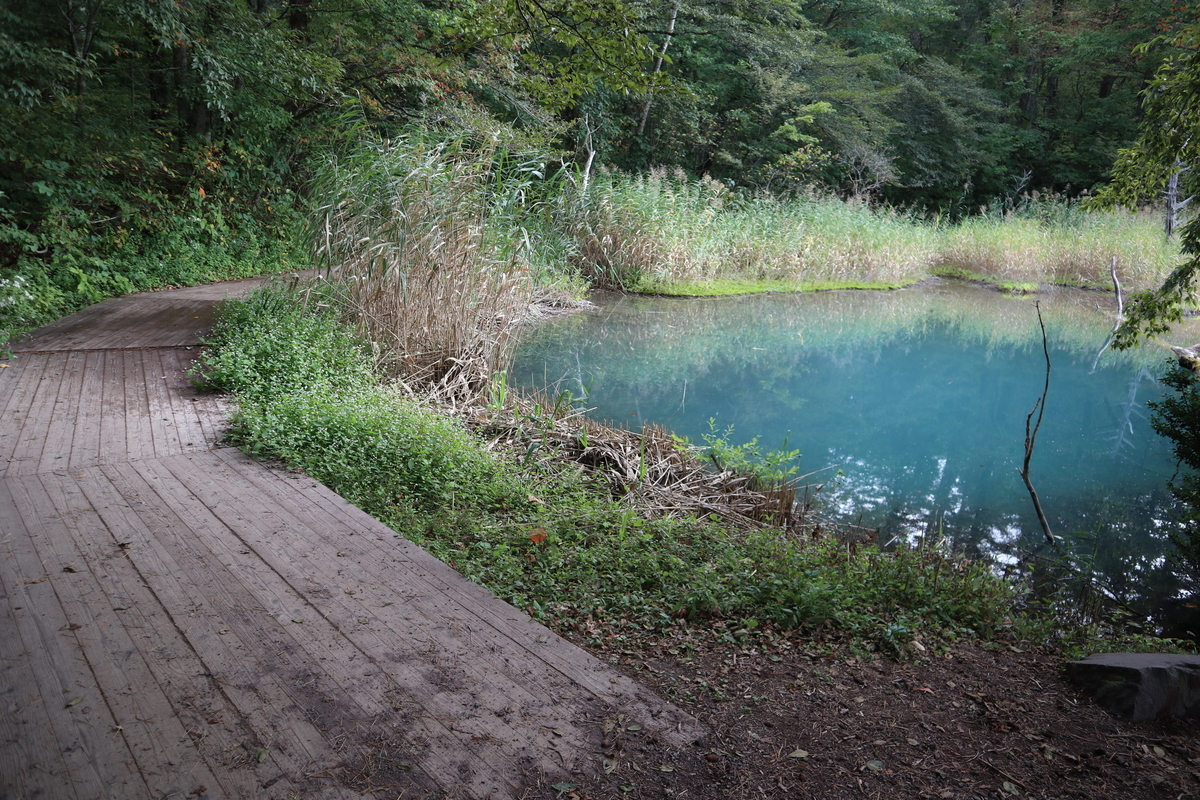 f:id:noramatsu:20211122000604j:plain