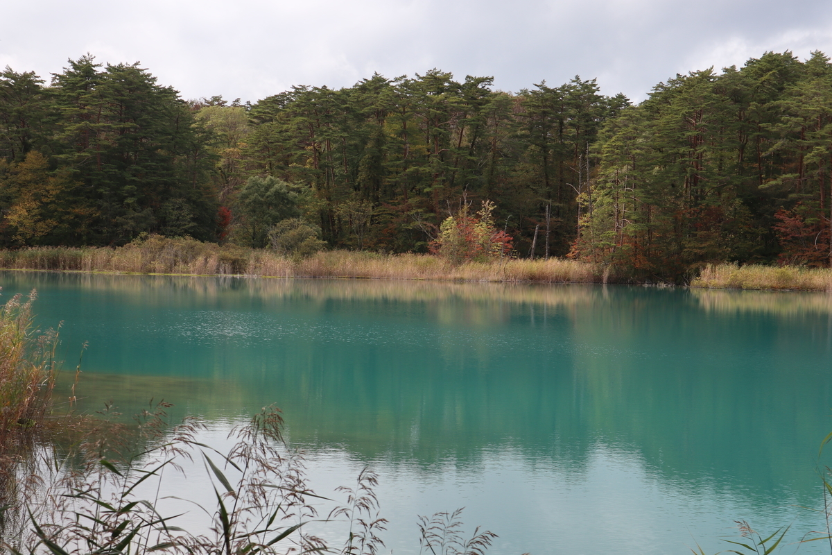 f:id:noramatsu:20211122224505j:plain