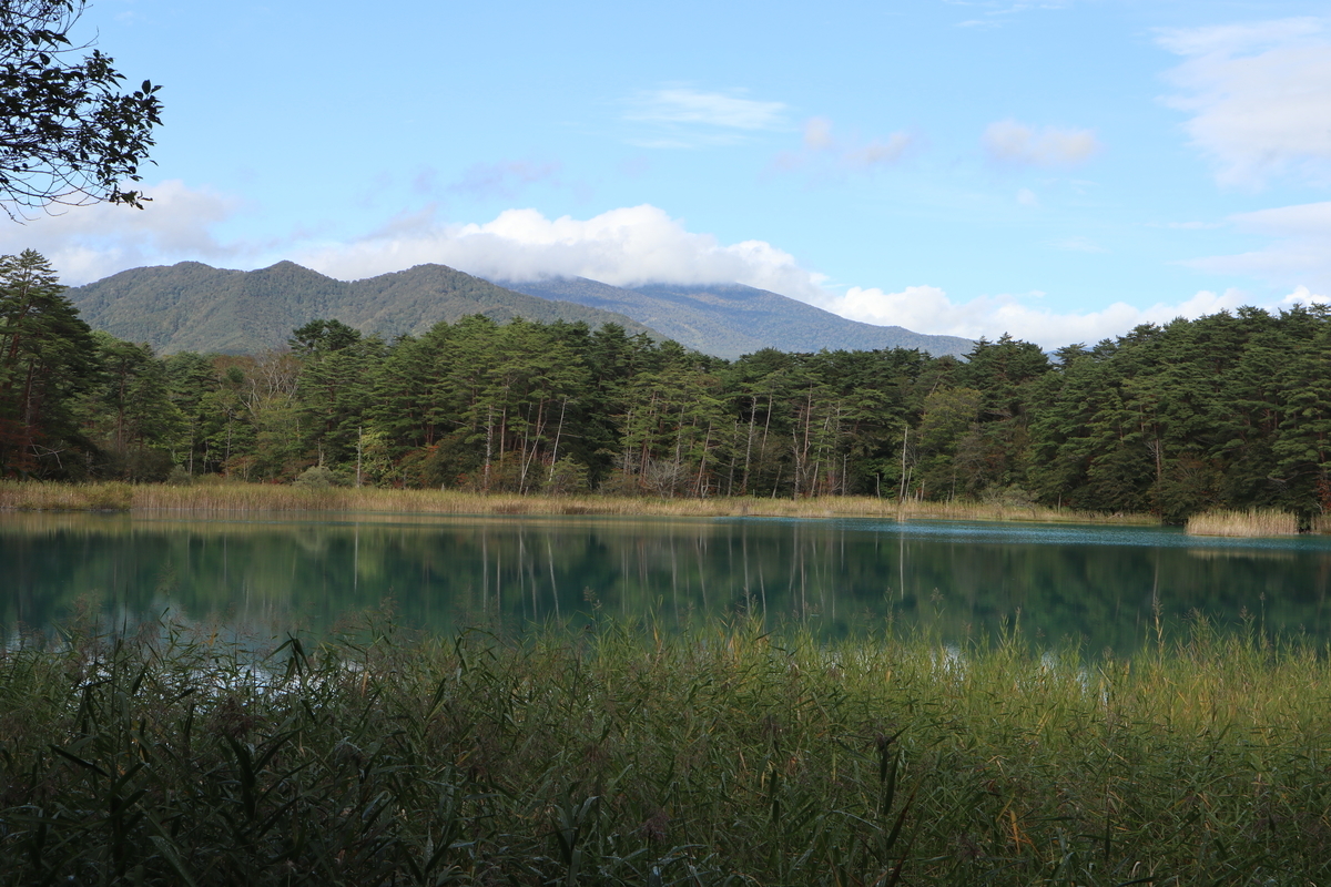 f:id:noramatsu:20211122224714j:plain